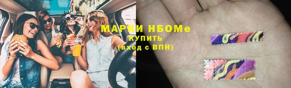 прущие грибы Алексин