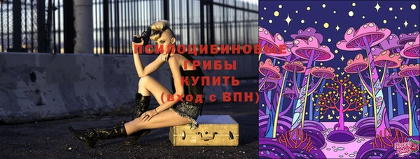 ешки Алзамай